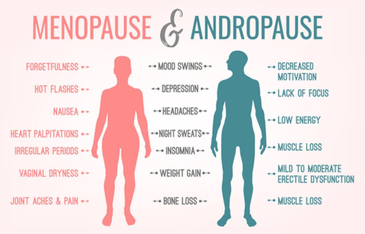 menopause_andropause